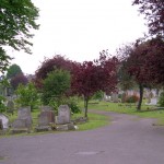 Ilford Cemetery. Photo by Boreenatra